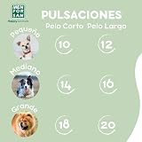 Ver la foto 6