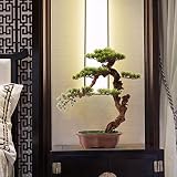 Drzewo symulacyjne, sztuczna sosna, drzewko bonsai, sztuczna roślina Zen, do ogrodu, sztuczna roślina doniczkowa, do domu, biura, biura, salonu, dekoracja do salonu, dekoracja rzemiosła