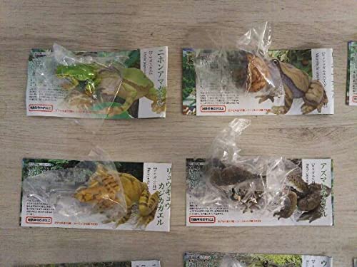 Amazon | ユージン 原色両生類カエル図鑑 新改訂版 全15種セット