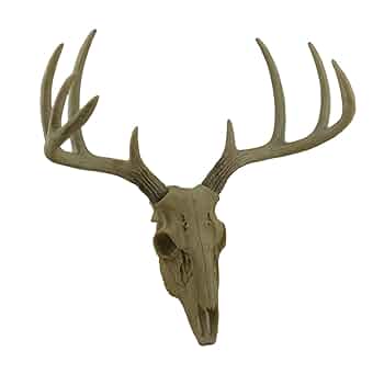 Antler 51MXRjj26EL._UF350,350_QL50_.jpg