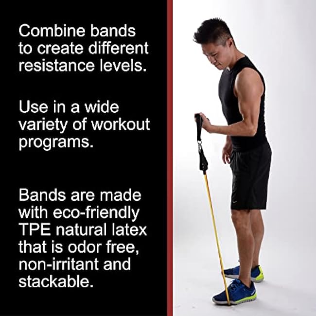 BodyForge Resistance Bands, Exercise Bands£¬Resistance Bands for Working Out, Work Out Bands with Handles for Men and Women Fitness, Strength Training Home Gym Equipment