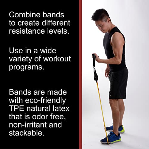 BodyForge-Eco-Friendly-Tube-Resistance-Exercise-Bands-Set