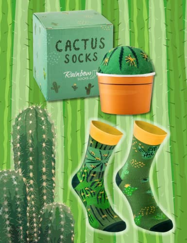 Rainbow Socks - Cactus Box Socks - Ein Kaktus in Einem Blumentopf – Damen Herren Grüne Kaktussocken - 1 Paar - Größen 36-40