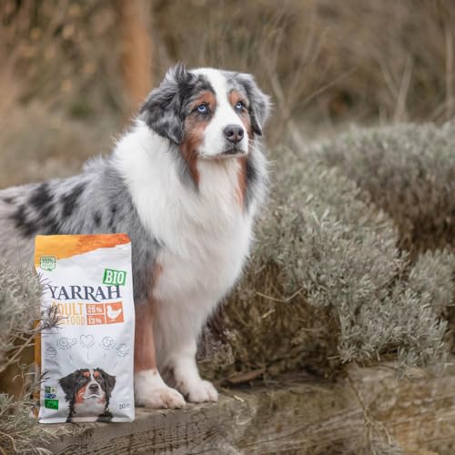 Yarrah Adult Nahrhaftes Bio-Trockenfutter für Hunde – für alle Erwachsenen Hunde | Exquisite Biologische Hundebrocken mit Huhn, 5kg | 100% biologisch & frei von künstlichen Zusätzen