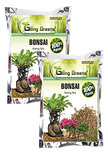 Image of 100% Organic Bonsai Potting Mix - 1600 GMS (800 GMS x 2 nos)