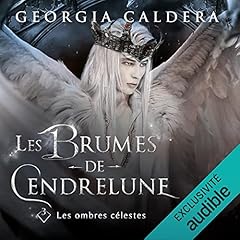 Page de couverture de Les Ombres C&eacute;lestes