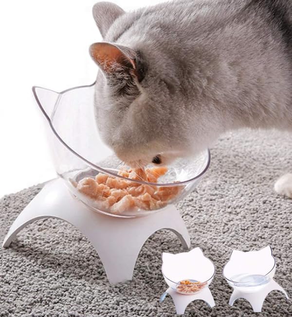 Cat Bowls Elevated Tilted, Japard 2 Pcs for Food & Water, Anti Vomiting Orthopedic Kitty Plates for Indoor Pets Puppy Bunny, Clear