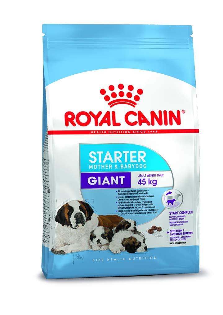 Royal Canin Giant Starter 4 Kg, Granule, Puppies