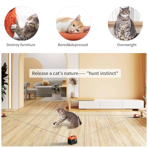 AsFrost Interactive Cat Toy for Indoor Cats Chase/Run/Hunt/Exercise-Orange - Image 5