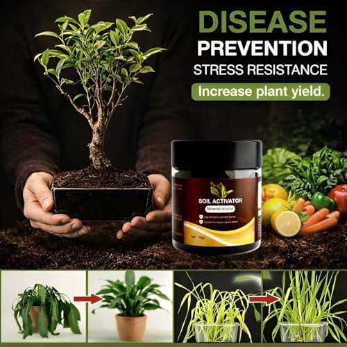 Image of Soil Activated Treasure Plant Growth Booster | Improves Soil Quality & Root Support | Suitable for Indoor & Outdoor Plants | for Pots, Gardens & Home Plants | Easy to Use 100g (Pack of 3)