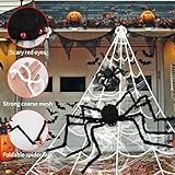 Zoom IMG-2 wecute set di ragno gigante Zoom IMG-2 wecute set di ragno gigante