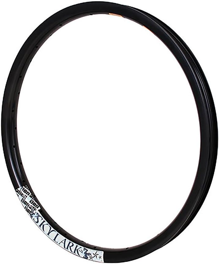 Alienation 36h Skylark 20in BMX bike rim matte black