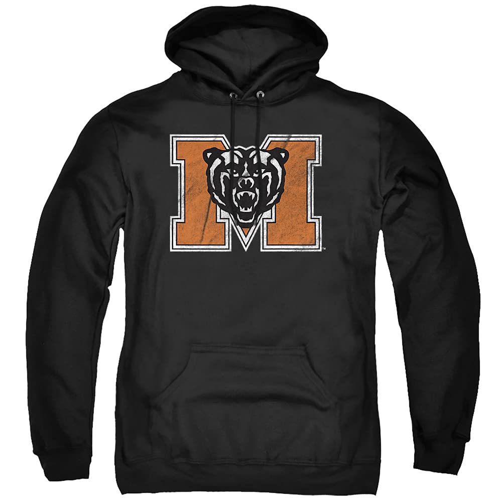 LOGOVISION Official Collegiate Distressed Primary Logo Adult Pullover Hoodie Collection — view 428