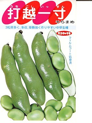 \}̎@@@ŉzꐡ@@TJ^̃\}ł@@iO[f|j