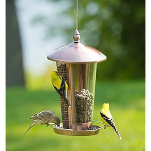 El Mejor Alimentador de Aves Silvestres para Decorar tu Casa o Jardín, Diseñado para todo tipo de Semillas, Cacahuetes y Frutas Secas, es Perfecto para pajaros pequeño, mediano y grandes, Comedero Decorativo para Exterior. Ideal para Regalar a tu Familia o Amigos