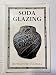 Soda Glazing (Ceramics Handbooks)