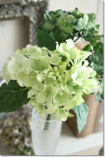 Amazon Co Jp 人工観葉 紫陽花ジュノーアジサイ ミントグリーン 1本 雑貨 インテリア雑貨 ガーデン雑貨 造花 アートフラワー フェイクフラワー 花材 ブライダル 観葉植物 ホーム キッチン
