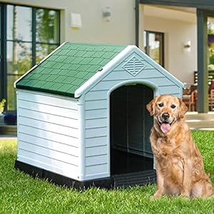 Yitahome 41 Large Plastic Dog House Outdoor Indoor Doghouse Puppy Shelter Water Resistant Easy Assembly Sturdy Dog Kennel with Air Vents and Elevated Floor 41l38w39h Green  Cucciolini Doodles Yitahome 41 large plastic dog house outdoor indoor doghouse puppy shelter water resistant easy assembly sturdy dog kennel with air vents and elevated floor 41l38w39h green   cucciolini doodles