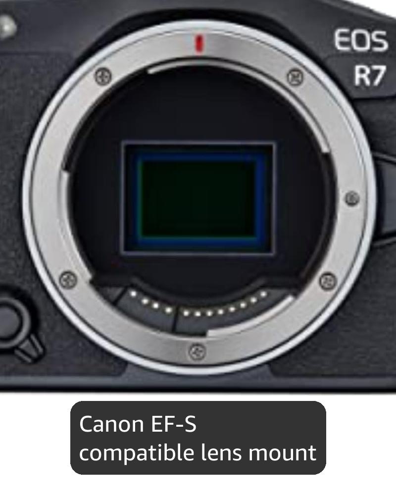 Canon EOS R7 Mirrorless Camera Body