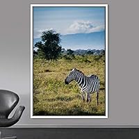 Framed Canvas Wall Art Zebra Animals Dramatic Farmhouse/Country Living Room Multicolor Photography Zebra - 16x24 inches