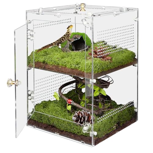 TCooSo Large Jumping Spider Enclosure, 2 in 1 Acrylic Reptile Terrarium for Praying Mantis,Arboreal Tarantula,Frogs,Snails, 12'*8'*8' Breeding Habitat with Front & Top Opening Doors and Vent Holes