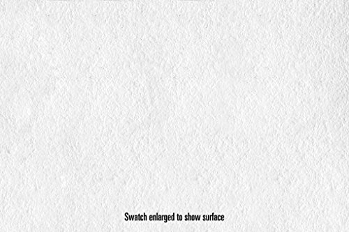 Canson Infinity Platine Fibre Rag Art Paper, 310 Gram , 17 Inch X 50 Foot Roll #TOP2