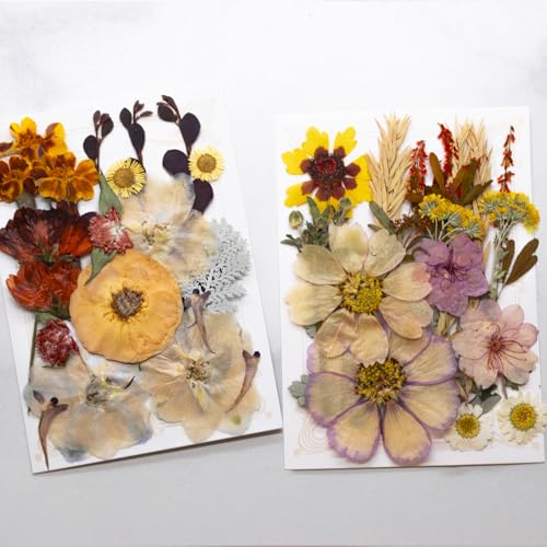 Flores Secas Prensadas Naturales para Manualidades 40 Piezas miniatura 2