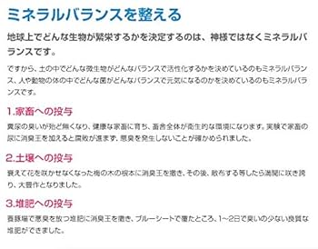 Amazon.co.jp: 消臭王GT－S 液体 ・ 無臭 500ml これぞ本物