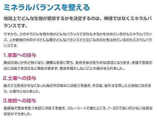 Amazon.co.jp: 消臭王GT-S 液体 無臭 5リットル 嫌な臭いを分解消臭