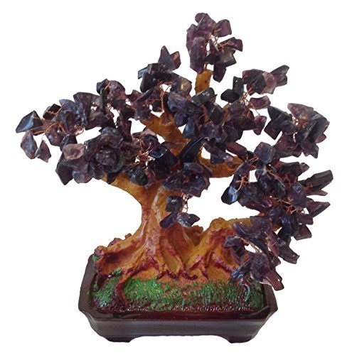 Gmmh Feng Shui Lucky Tree 25 Cm Money Tree Bonsai | Desertcart Aruba