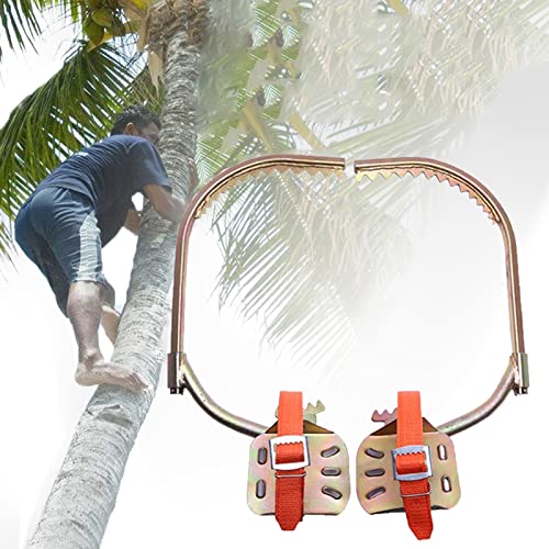 ATRNA Tree Climbing Spikes, Tree Climbing Tool Pole Climbing