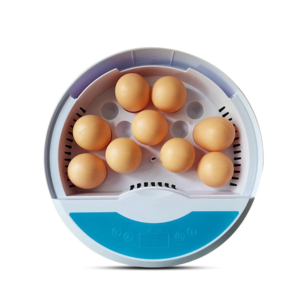 Incubateur pour œufs à couver HUIOP : vivez la naissance des poussins
