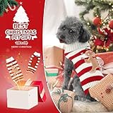 SKXEO Weihnachten Hund Pullover Kostüm, Neujahr Haustier Kostüm warm Winter Pullover gestrickt Weihnachten Haustier Kleidung für Welpen Katze Hunde (Gestreifter Lebkuchenmann-Pullover, S)