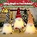 Light-Up Christmas Gnomes Decorations with Sequins|Lighted Xms Gnome Santa 12