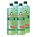 Produktbild 4x Frosch Spiritus Glas-Reiniger 1 Liter