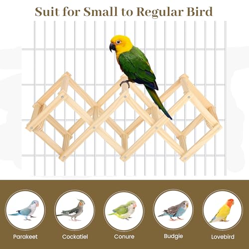 Image of Parrot Multi-Angle Peaches Platform(3 Blocks), Bird Enrichment Toys Activities Parakeet Cage Accessories Wooden Playing Gyms Exercise Sturdy for Small to Regular Birds