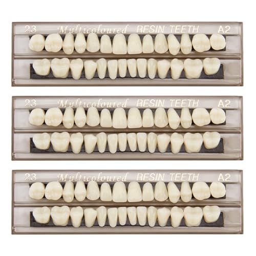 84Pcs False Teeth Fake Teeth Dental Acrylic Resin Denture Denture Repair Kit 23 Shade A2 Upper + Lower Dental Materials for Replacement for Missing Loose Tooth 3 Sets 23 A2
