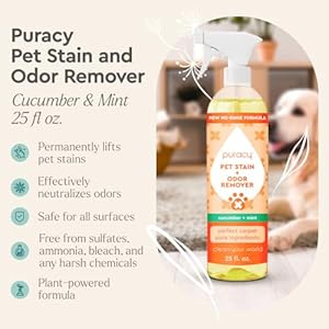 Puracy Pet Stain and Odor Remover - Enzyme Cleaner for Dog Urine and Poop Carpet - Pet Urine Enzyme Cleaner - Cat Pee Enzyme Cleaner for Cat Urine Enzyme Cleaner Destroyer - Cucumber & Mint, 25oz Puracy Pet Stain and Odor Remover Enzyme Cleaner for Dog Urine and Poop Carpet Pet Urine Enzyme Cleaner Cat Pee Enzyme Cleaner for Cat Urine Enzyme Cleaner Destroyer Cucumber Mint 25oz