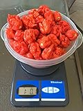 Fresh Carolina Reaper Peppers