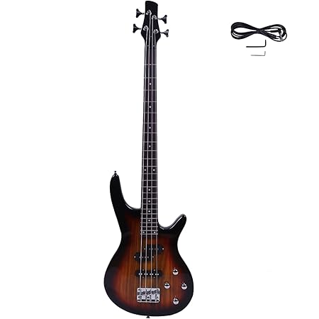 vizcaya electric guitar