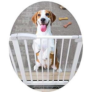 Sicherheitstore Extra breites Hundetor mit Verlängerung, Treppe für Baby-Haustiere 1 m groß, Passform 75-243 cm breit, Druckpassform, Weiß (Farbe: H / 100 cm, Größe: B / 225-231 cm)