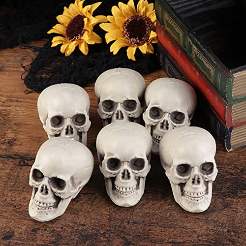 Sewacc Halloween Props 6Pcs Life Size Skeleton Skull Human Skull Model Plastic Human Head Skeleton Figurines Sculpture Realistic Human Head Bone For Halloween Decor Plastic Skulls #TOP7