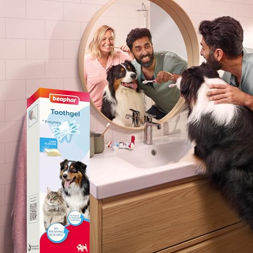 Beaphar - No-Brush Toothgel with Enzymes - Dental Care for Cats & Dogs - Helps Control Plaque and Tartar, and Freshen Breath - Fluoride-Free - Liver Flavour - No Brushing Required - 100g Tube - Image 10
