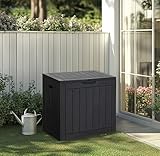 Ondis24 City Cube, Kunststoff Box - Abschließbare Poolbox, Paketbox, Gartenbox Wasserdicht, 110L, Anthrazit, 55x43x53cm Außenmaß, 75Kg Gewichtsbelastbarkeit. Ideal für Wohnungs- & Gartenbesitzer