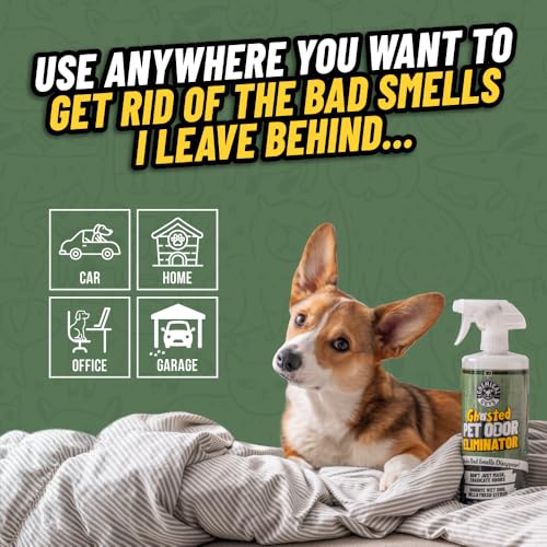 Chemical Guys Ghosted Pet Odor Eliminator 32 Oz Pet Smell Neutralizer For Car Interior, Carpet, Upholstery, Fabric Seats, Home, Furniture, Citrus Scent Spray Cleaner - image 5