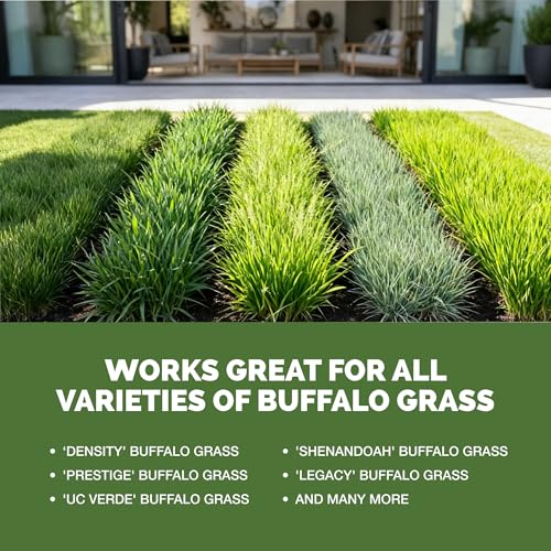 Fertilizante Líquido para Césped Buffalo Grass 1 Galón miniatura 5