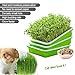 LeJoy Garden Seed Sprouter Tray BPA Free PP Soil-Free Big Capacity Healthy Wheatgrass Grower with Lid Sprouting Kit 13.4x9.84x4.72 inches