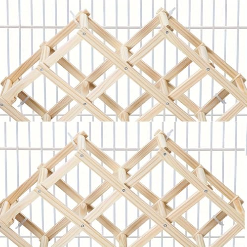 Labirinto de ratos de madeira, playground para atividades de roedores