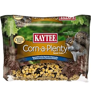 Kaytee Corn A Plenty Treat Seed Cake Food for Wild Squirrels, Chipmunks, Rabbits & Other Backyeard Wildlife, 2.5 Pounds