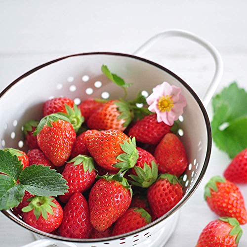 ＩＴＡＮＳＥ ピンクの花咲くストロベリー栽培セット【栽培キット/1個】淡いピンクの花を咲かせるF1の四季なりイチゴ！可愛らしい花が次々に咲き、観賞用として楽しめる期間が長いのが特長です！日当たりの良い室内でも栽培可能！プレゼントにも！簡単野菜栽培セット！ハート型のポットや培養土、肥料も入っていますので、他にはいらないです！ 6枚目